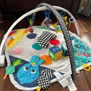 Baby Einstein Sensory Play Space, Newborn-to-Toddler, Discovery Gym and Play Mat